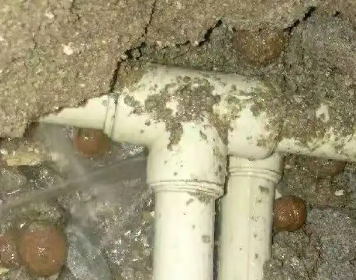 向阳测漏水多少钱