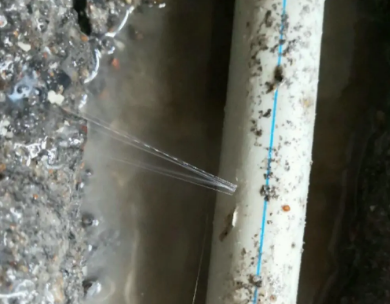 向阳测漏水哪家好