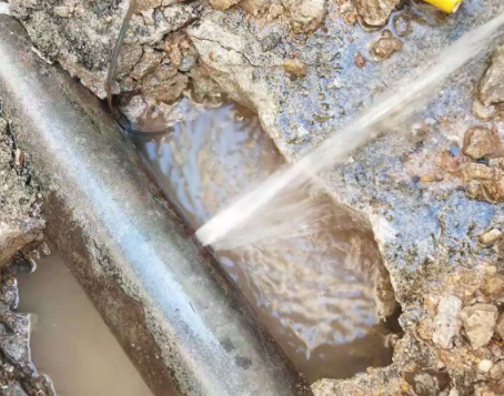 向阳测漏水公司