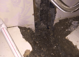 向阳卫生间测漏水哪家好