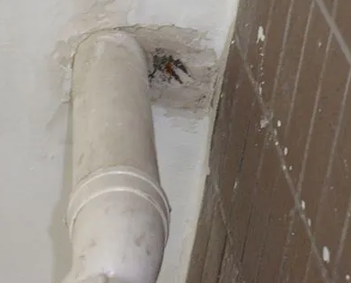 向阳漏水检测哪家好